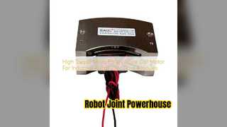 Robot Voice Coil Motor High Torque Precision